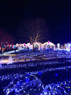 2015_0219_184742.JPG