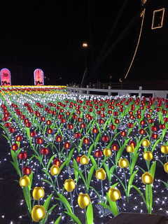 2015_0219_191338.JPG